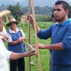 Toño