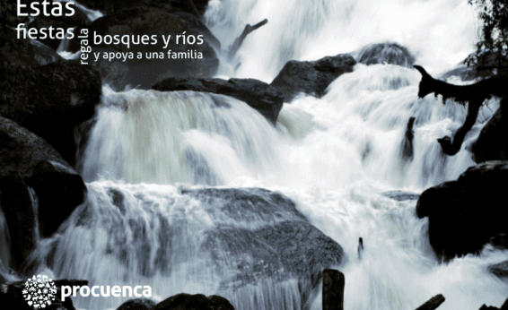 Estas fiestas regala bosques y ríos y apoya a una familia La compra de tu certificado, nos permite contar con los fondos necesarios para instalar cuatro ecotecnias que al proteger los bosques y ríos, mejoran la vida de las familias.