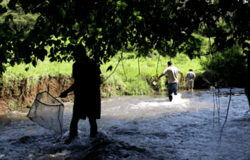 Monitoreo de agua Este año cumplimos 20 años de labor ininterrumpida por la regeneración y conservación de la cuenca Valle de Bravo-Amanalco, en este periodo d hemos logrado monitorear la calidad de agua de 34 puntos estratégicos de la cuenca.