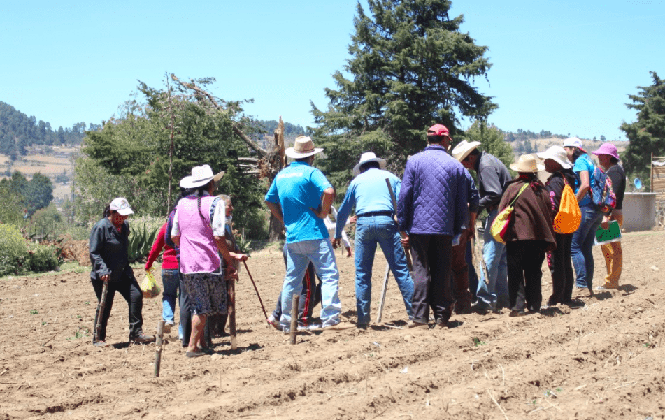 Suelos y bosques Este año cumplimos 20 años de labor ininterrumpida por la regeneración y conservación de la cuenca Valle de Bravo-Amanalco. En este tiempo hemos regenerado 3,600 ha.